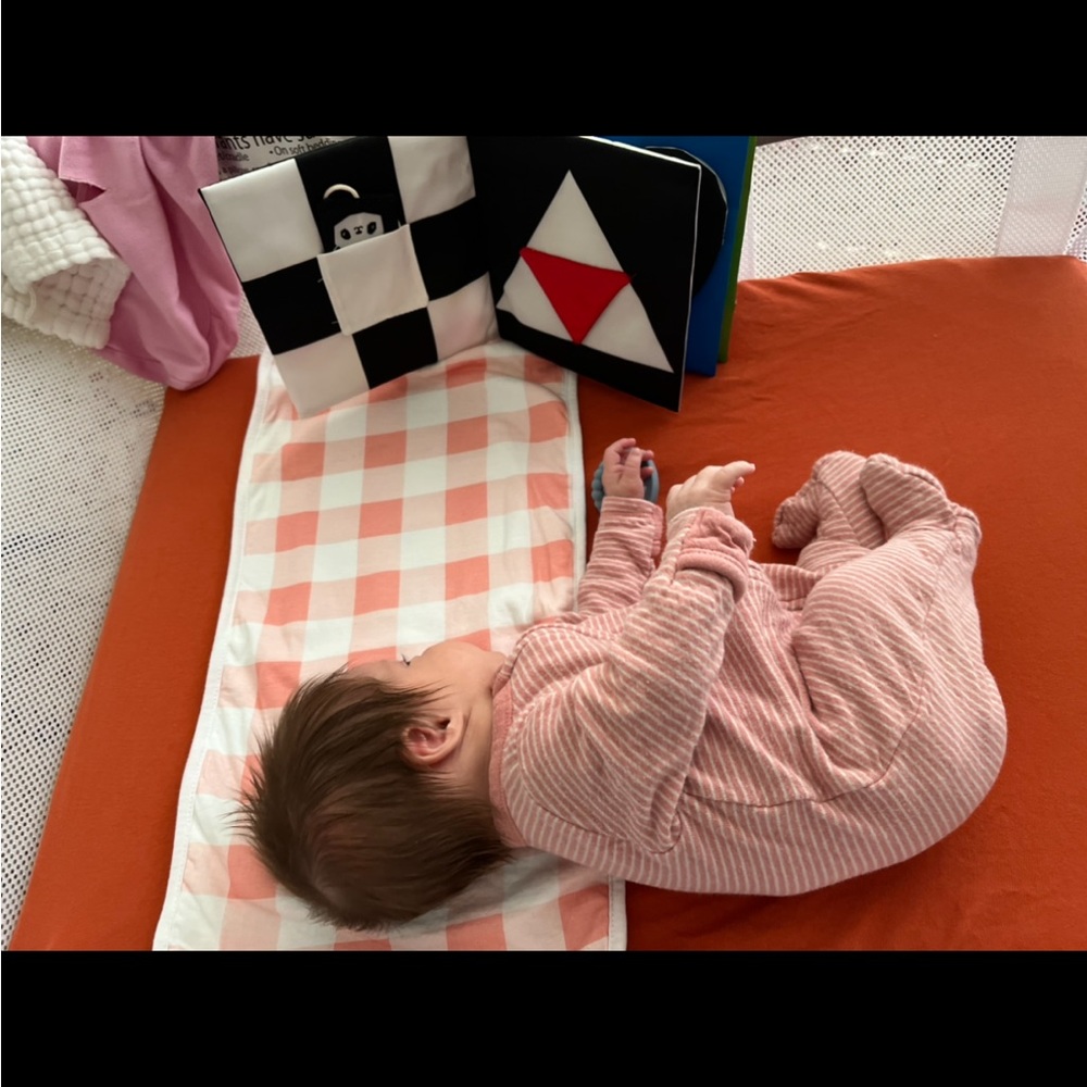 Guava Lotus Bassinet+Crib!